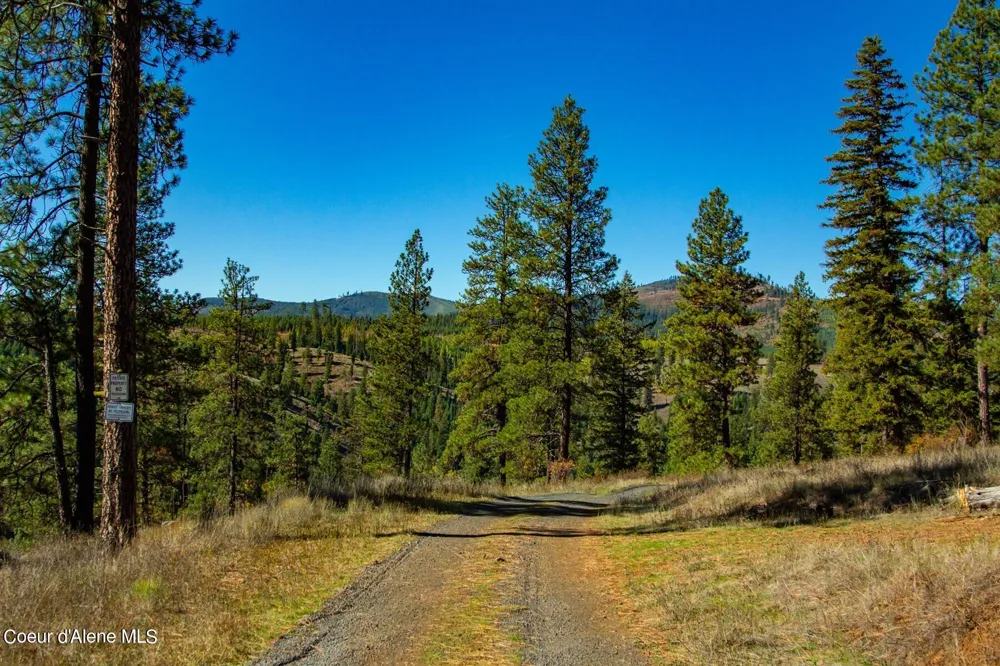 321 Clearwater Drive St. Maries, ID 83861