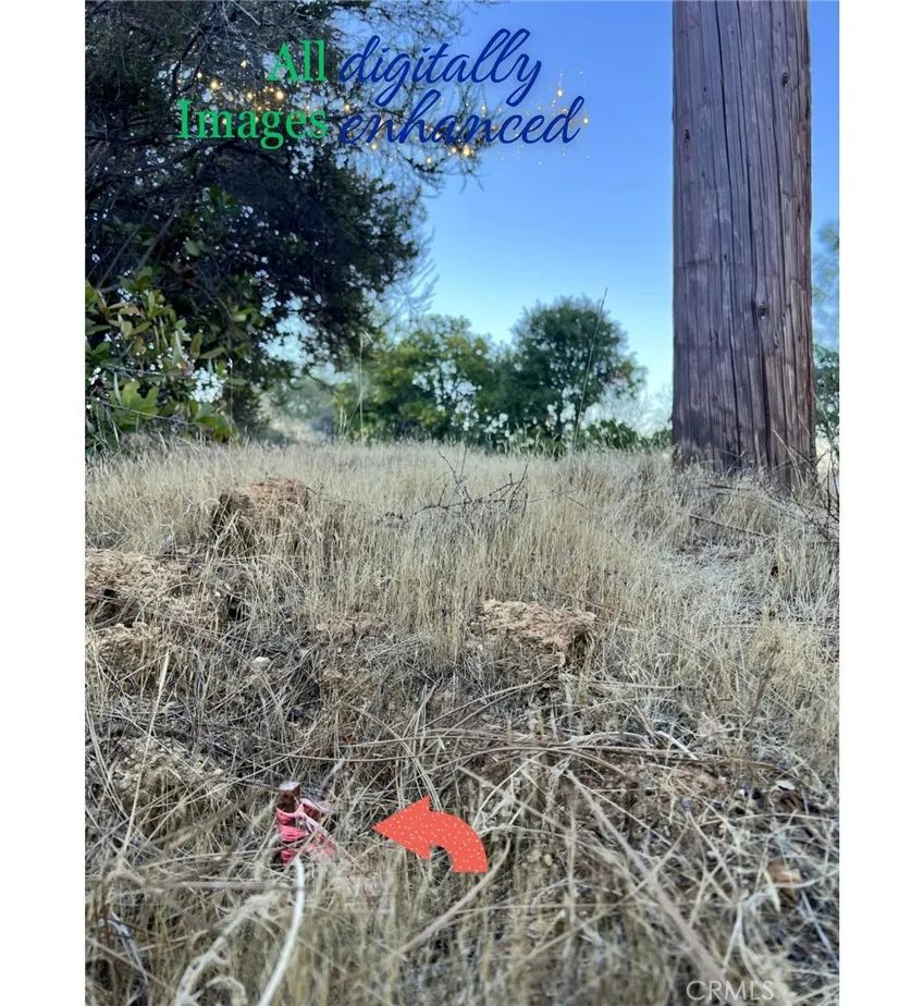 12230 Cerrito Drive Clearlake Oaks, CA 95423