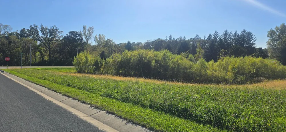 TBD ( Lot 1, Blk 1) 3rd Avenue SE Harmony, MN 55939