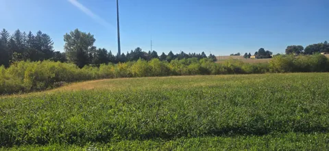 TBD ( Lot 1, Blk 1) 3rd Avenue SE