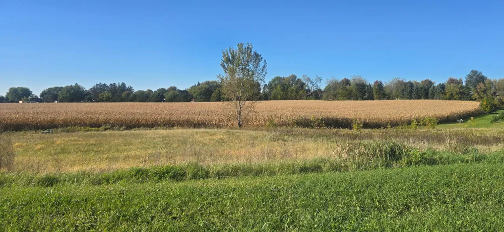 TBD ( Lot 4, Blk 1) 3rd Avenue SE Harmony, MN 55939