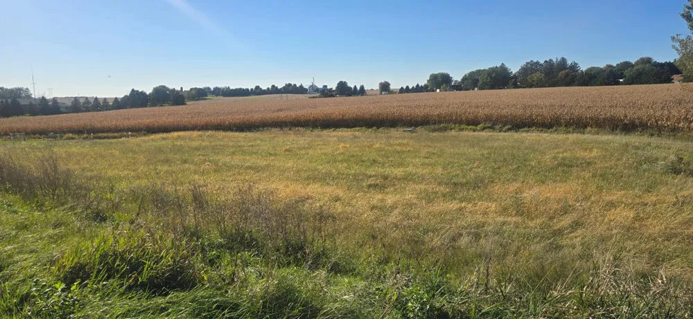 TBD ( Lot 4, Blk 1) 3rd Avenue SE Harmony, MN 55939