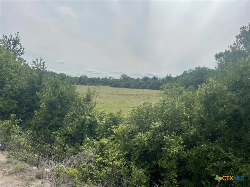 Donahoe Road Bartlett, TX 76511