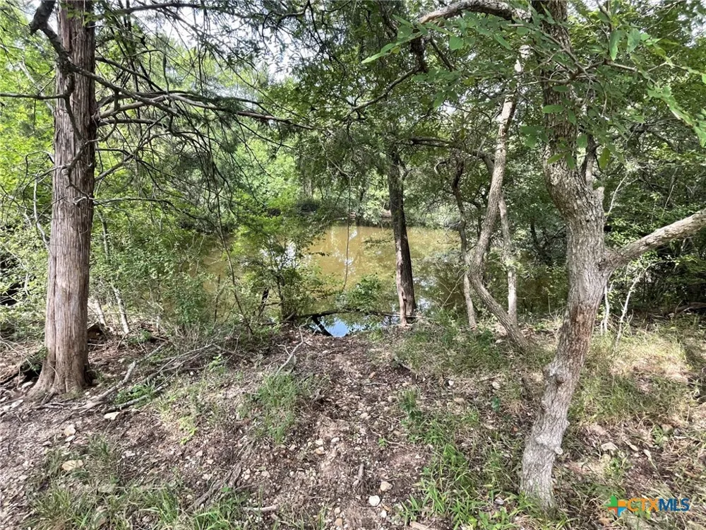 Donahoe Road Bartlett, TX 76511