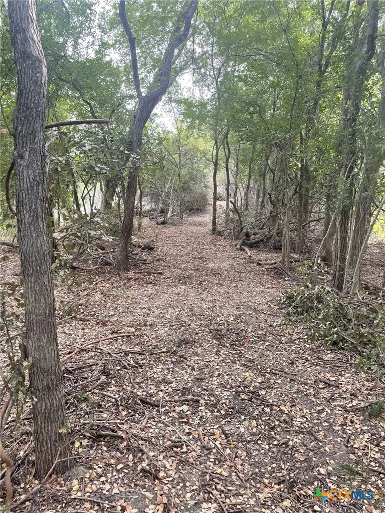 Donahoe Road Bartlett, TX 76511