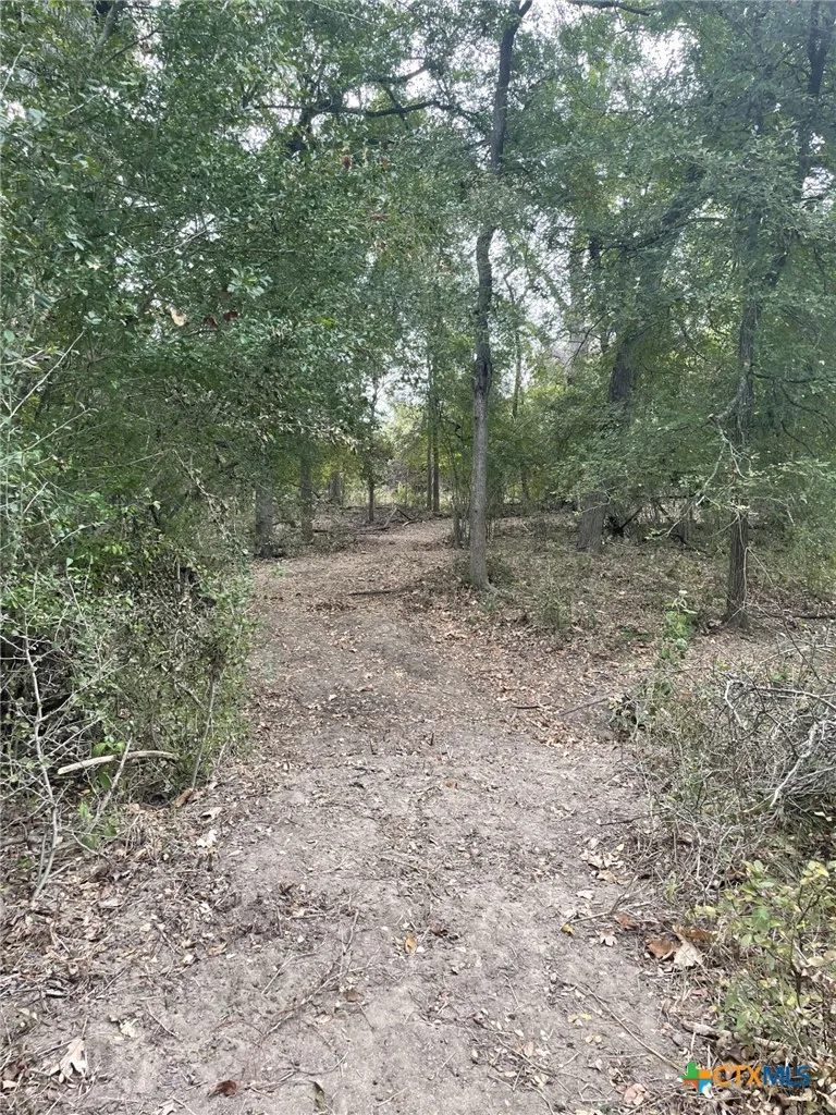 Donahoe Road Bartlett, TX 76511