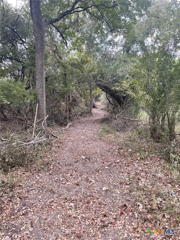 Donahoe Road Bartlett, TX 76511