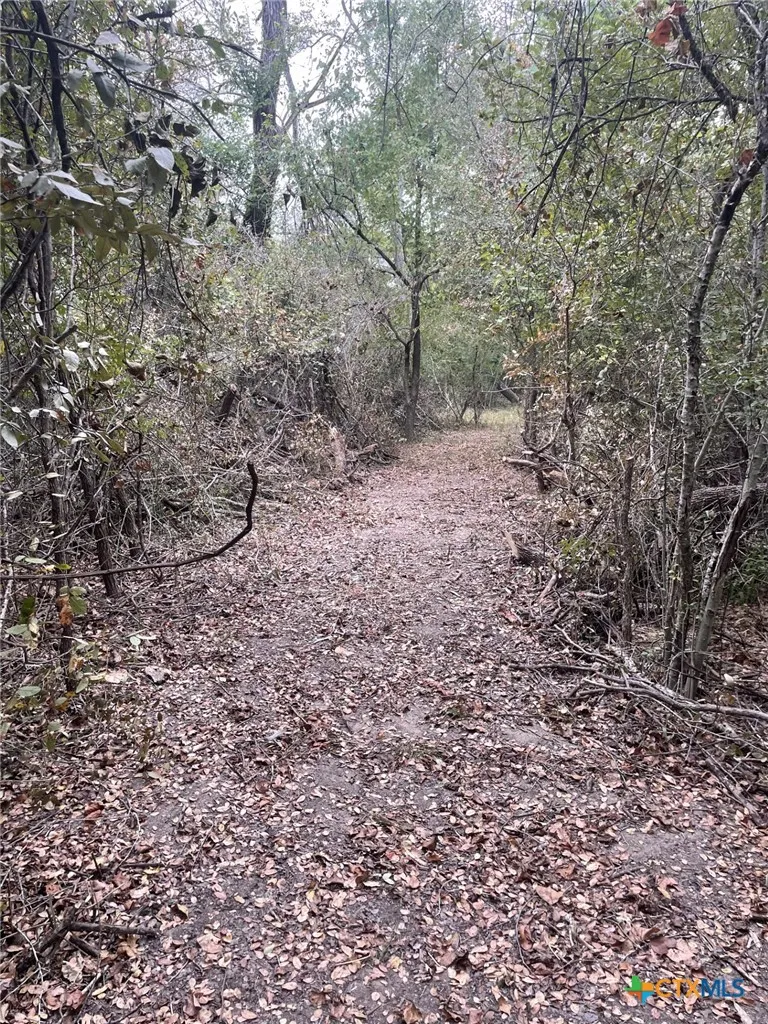Donahoe Road Bartlett, TX 76511