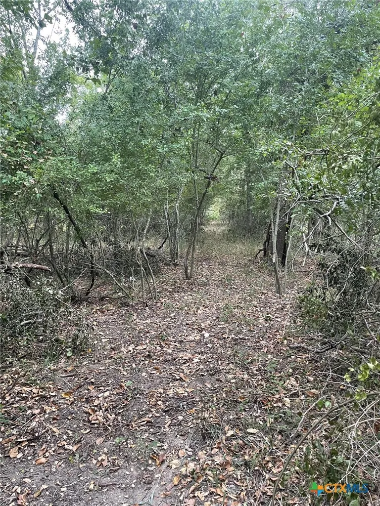 Donahoe Road Bartlett, TX 76511