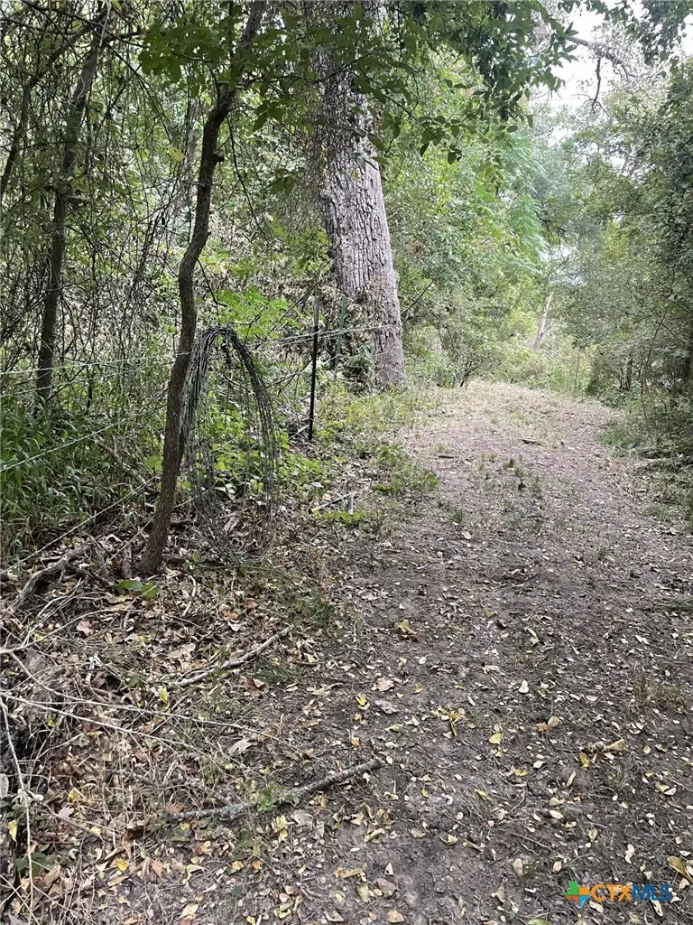 Donahoe Road Bartlett, TX 76511
