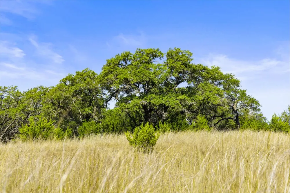 1655 Walnut Springs Road Johnson City, TX 78636