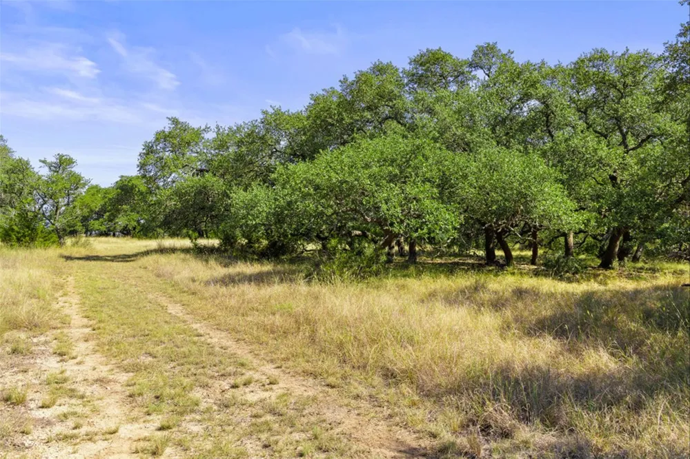 1655 Walnut Springs Road Johnson City, TX 78636
