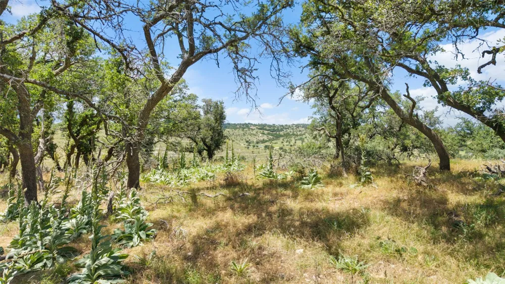 5032 Kendalia Road Blanco, TX 78606