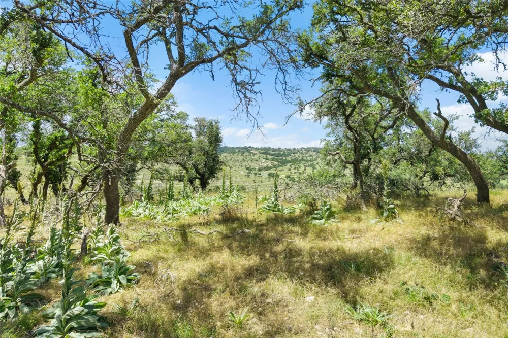 5032 Kendalia Road Blanco, TX 78606