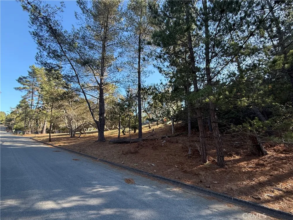 1955 Avon Avenue Cambria, CA 93428