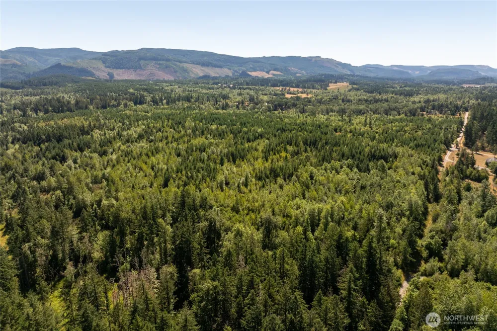 0 173rd Avenue SE Yelm, WA 98597