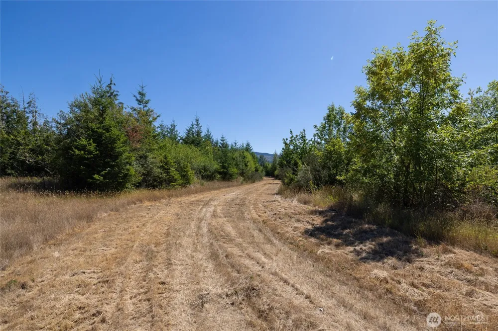 0 173rd Avenue SE Yelm, WA 98597