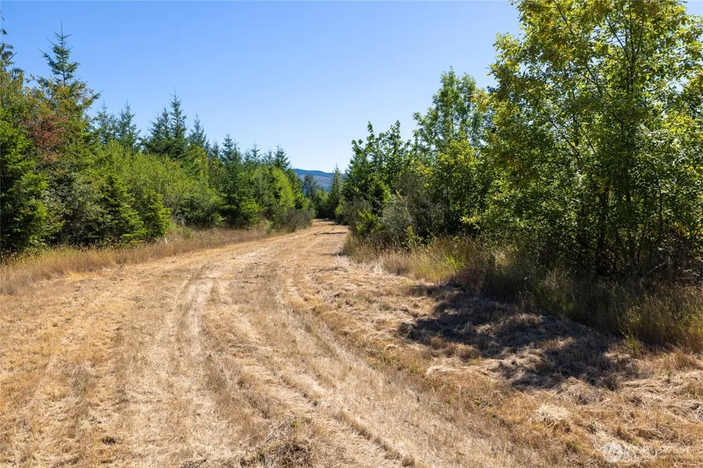 0 173rd Avenue SE Yelm, WA 98597