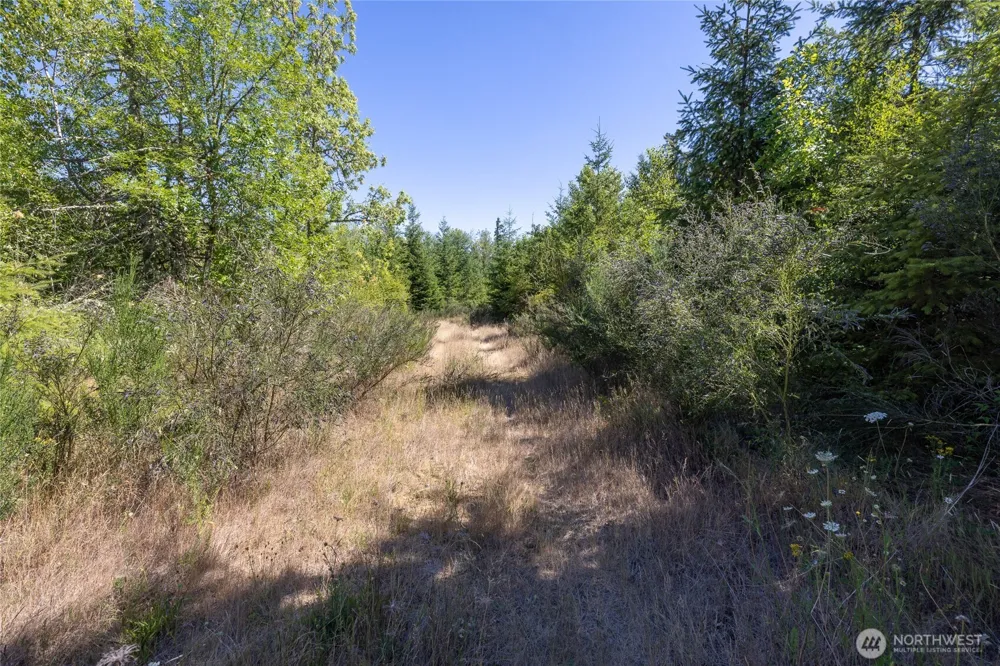 0 173rd Avenue SE Yelm, WA 98597