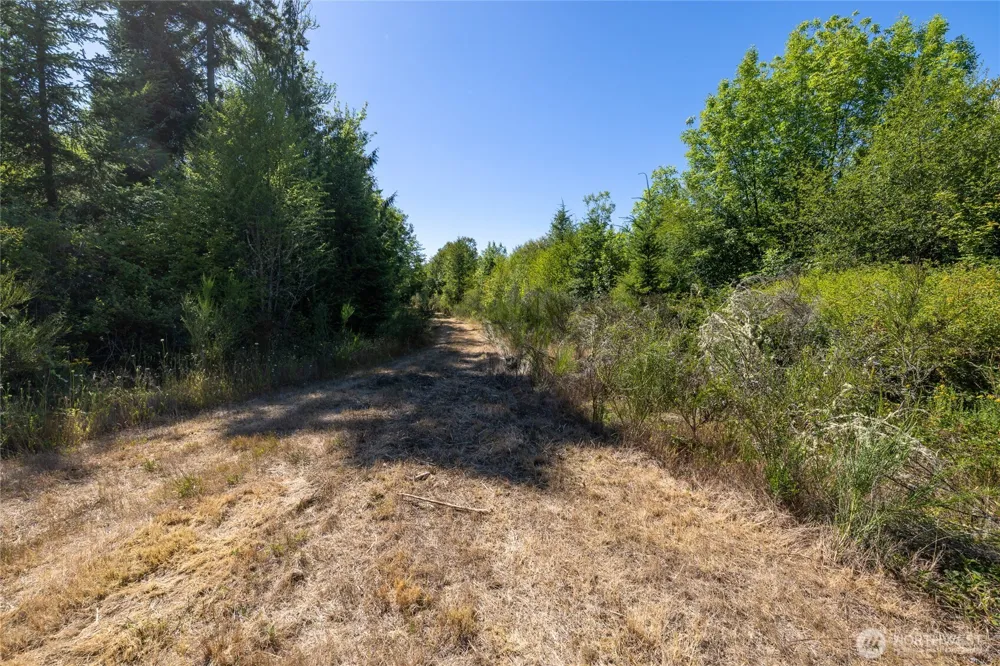 0 173rd Avenue SE Yelm, WA 98597