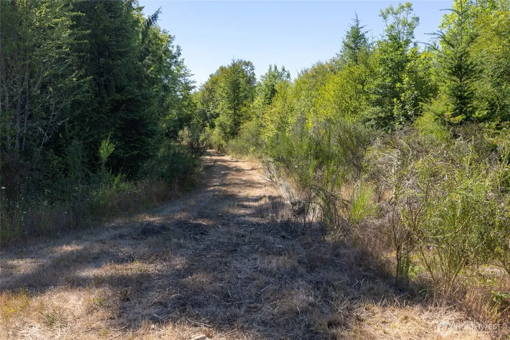 0 173rd Avenue SE Yelm, WA 98597