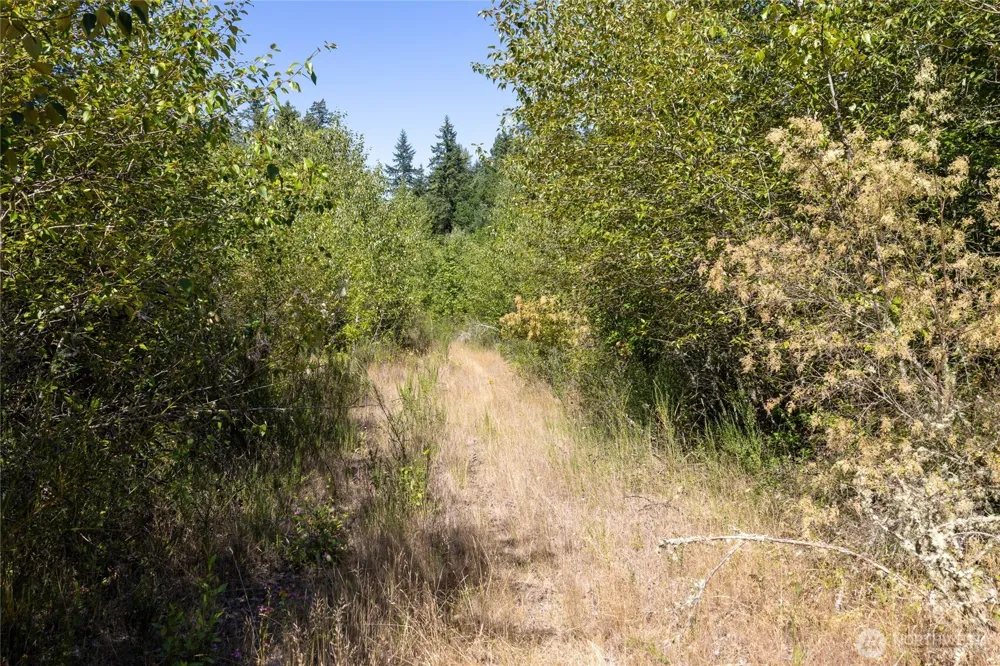 0 173rd Avenue SE Yelm, WA 98597