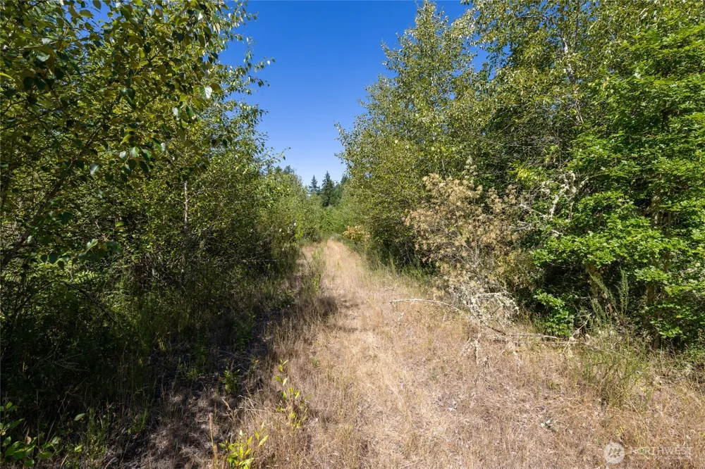 0 173rd Avenue SE Yelm, WA 98597