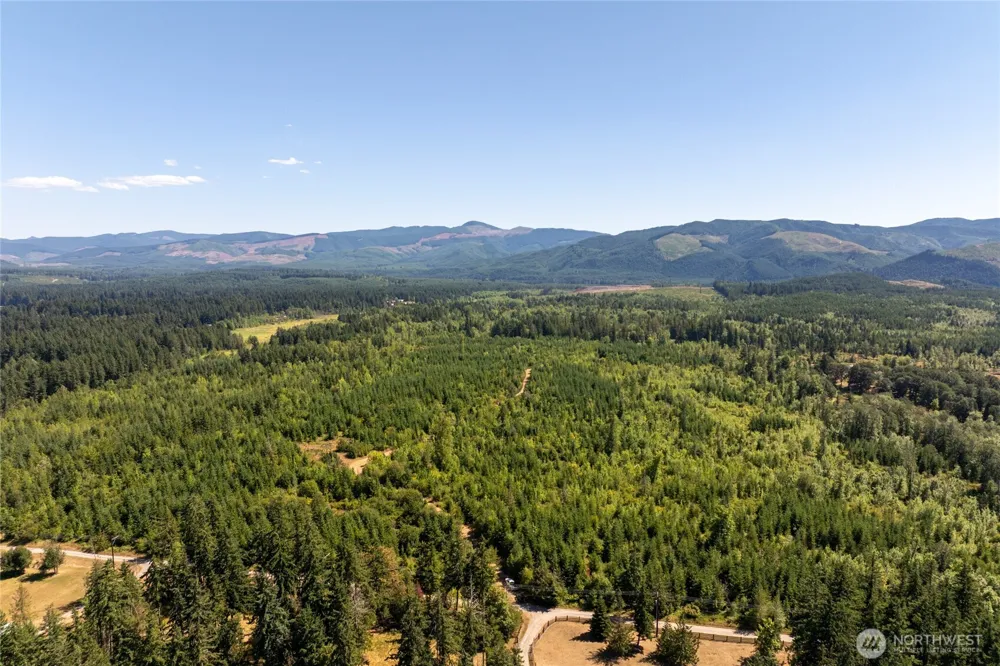 0 173rd Avenue SE Yelm, WA 98597