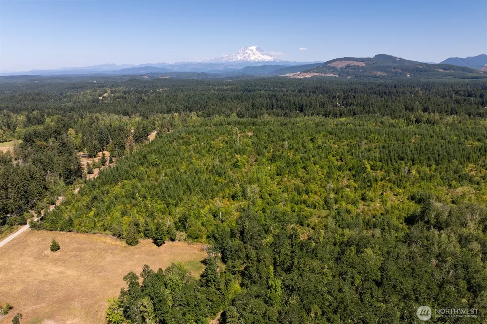 0 173rd Avenue SE Yelm, WA 98597