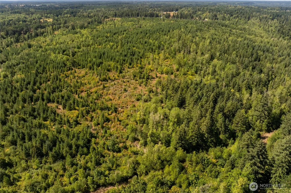 0 173rd Avenue SE Yelm, WA 98597