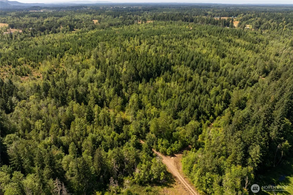 0 173rd Avenue SE Yelm, WA 98597