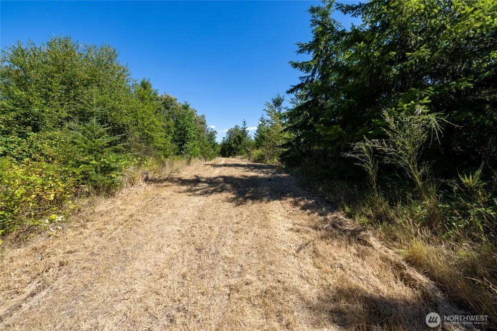 0 173rd Avenue SE Yelm, WA 98597