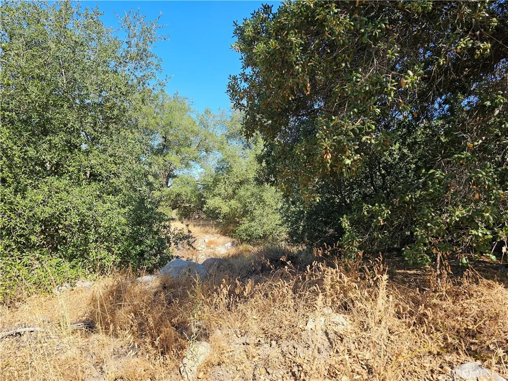Highway 76 Pauma Valley, CA 92061