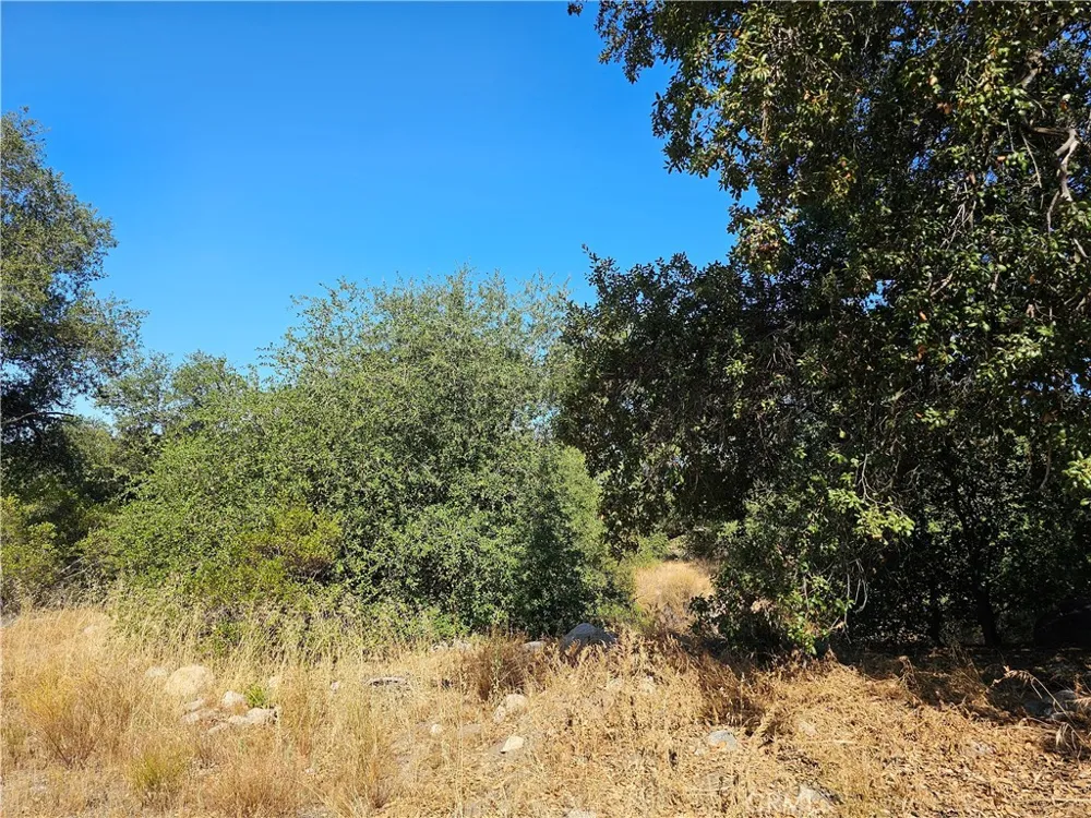 Highway 76 Pauma Valley, CA 92061