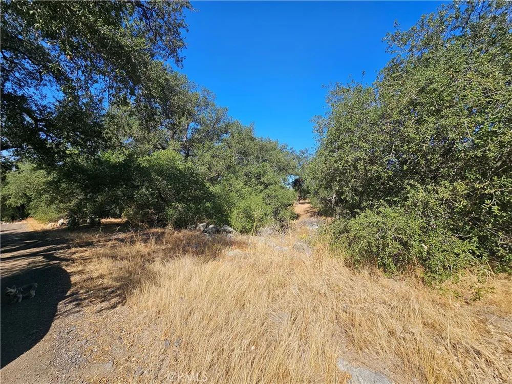 Highway 76 Pauma Valley, CA 92061