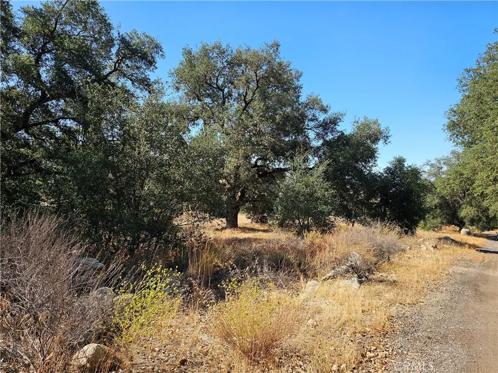 Highway 76 Pauma Valley, CA 92061