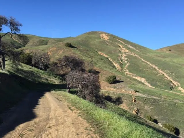 Willow Springs Ranch #8 Paicines, CA 95043