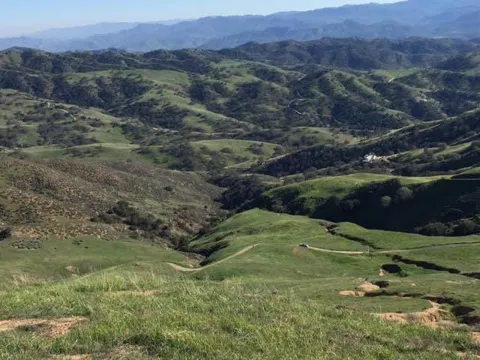 Willow Springs Ranch #8
