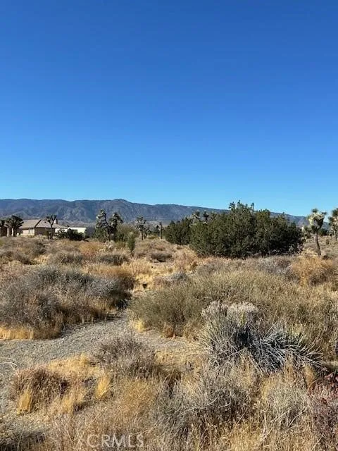 Calaveras Pinon Hills, CA 92372
