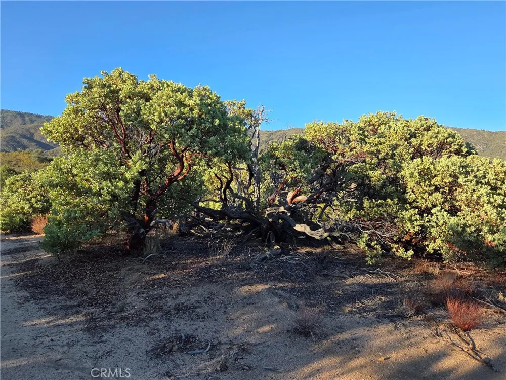 Mount Rd Anza, CA 92539