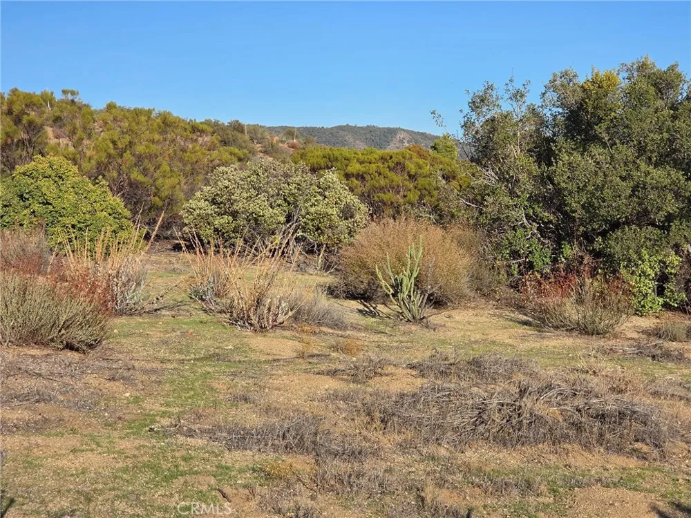 Mount Rd Anza, CA 92539