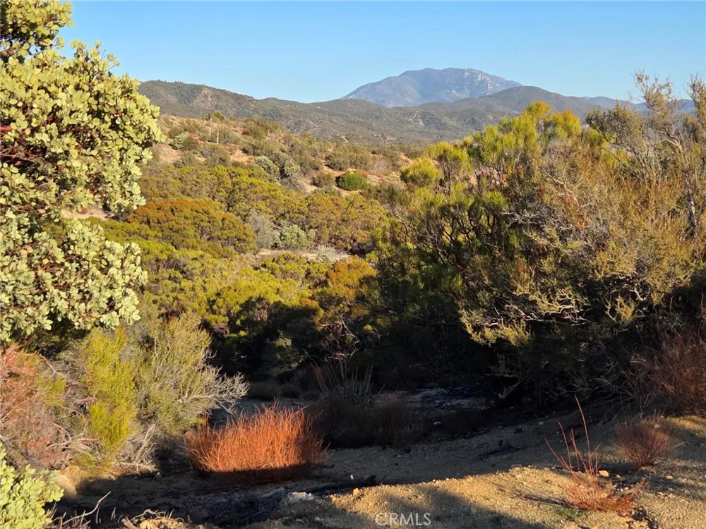 Mount Rd Anza, CA 92539