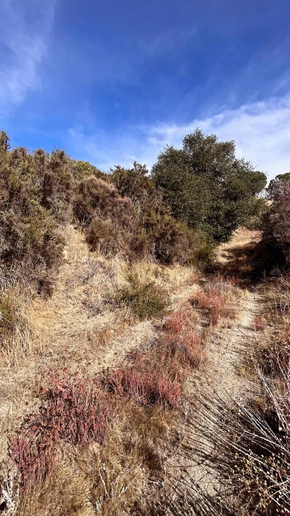 Partridge Lane Banning, CA 92220