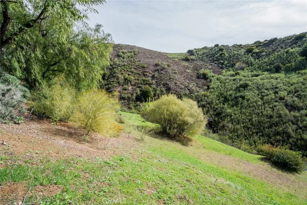 16 Holster Lane Bell Canyon, CA 91307