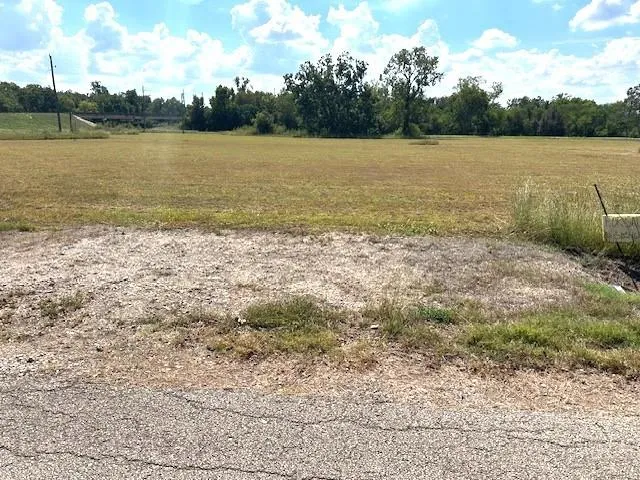 Little Dogie Road Simonton, TX 77485