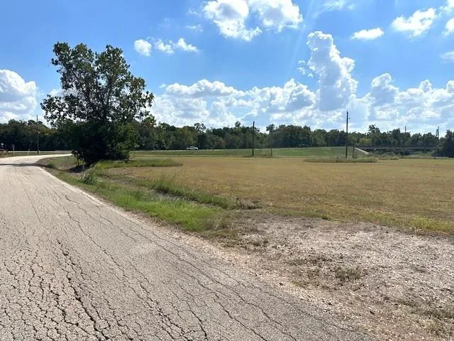 Little Dogie Road Simonton, TX 77485