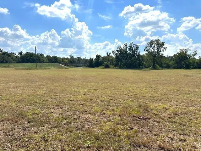 Little Dogie Road Simonton, TX 77485