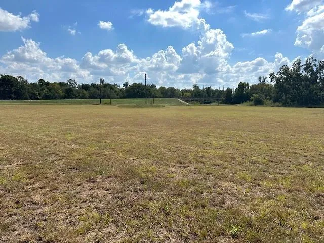 Little Dogie Road Simonton, TX 77485
