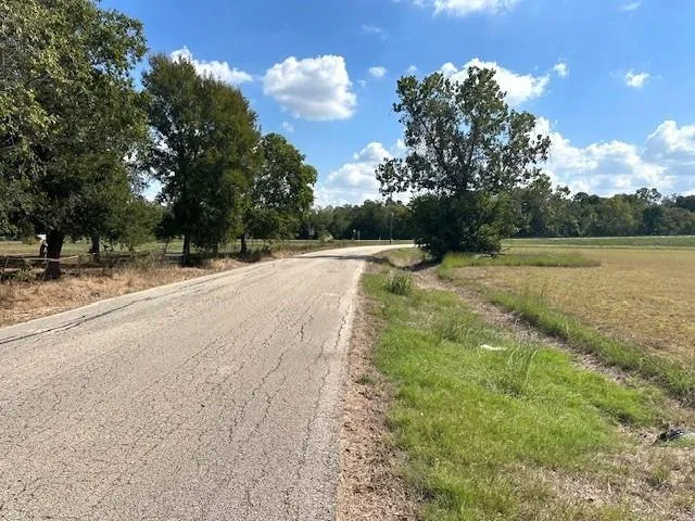 Little Dogie Road Simonton, TX 77485
