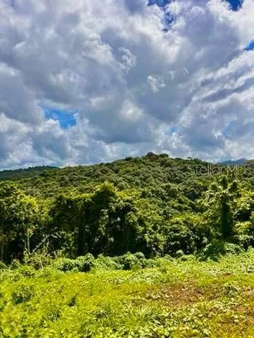 Solar 19 BARRIO CORDILLERA Ciales, PR 00638